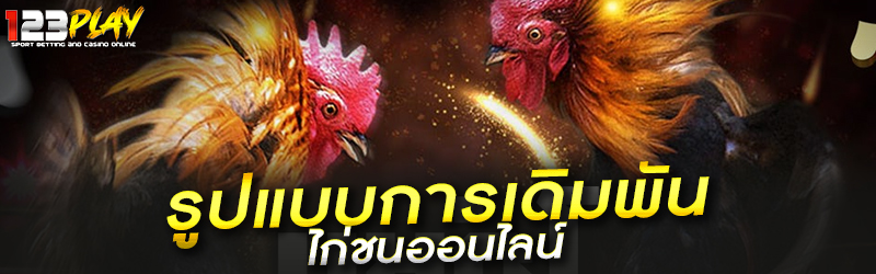 รูปแบบการเดิมพันไก่ชนออนไลน์