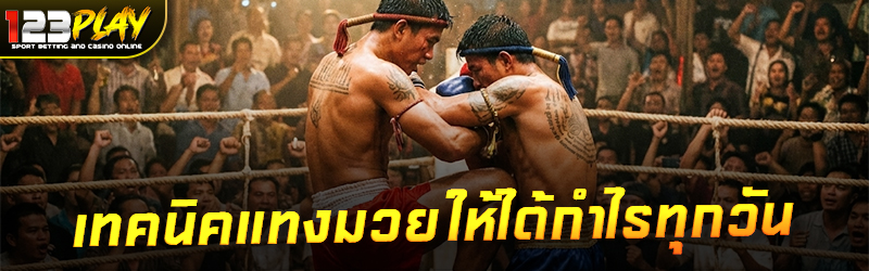 เทคนิคแทงมวยให้ได้กำไรทุกวัน