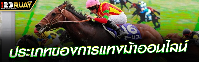 ประเภทของการแทงม้าออนไลน์